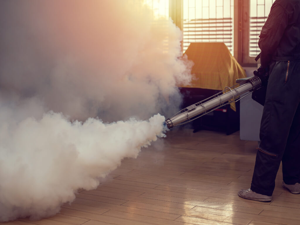 Ants Pest Control Treatment in Singapore